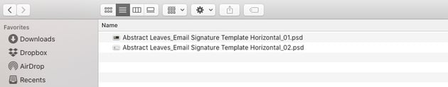 Choose email signature version